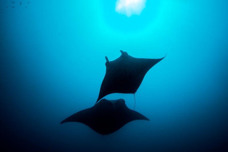 You And Me By Cocoon Maldives Muravandhoo Екстериор снимка